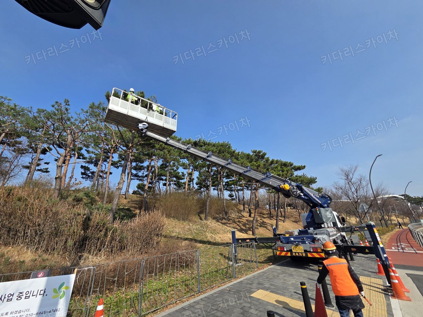 수목 주변 도로의 스카이차 배치